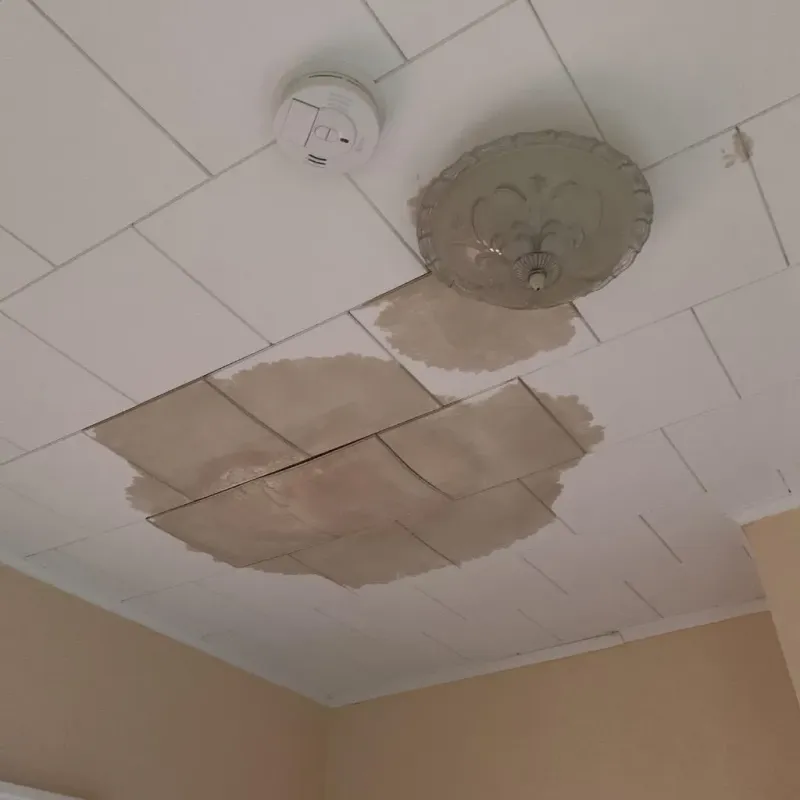 Ceiling Water Damage Repair in Metcalfe, MS