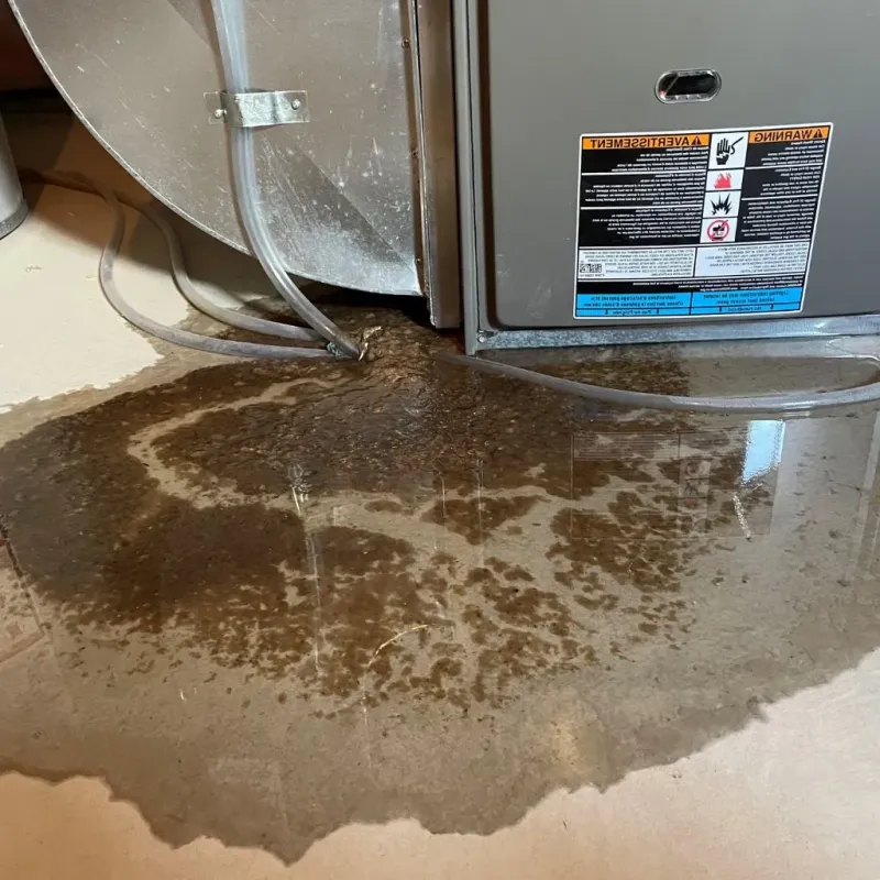 Pipe Burst and Leak Restoration in Metcalfe, MS