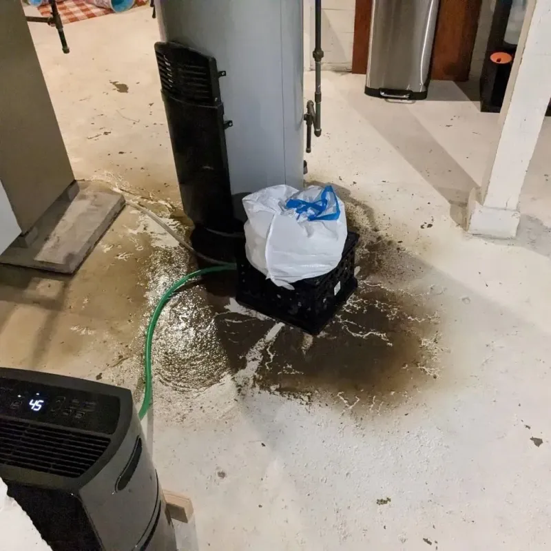 Sewage Backup Cleanup Service in Metcalfe, MS